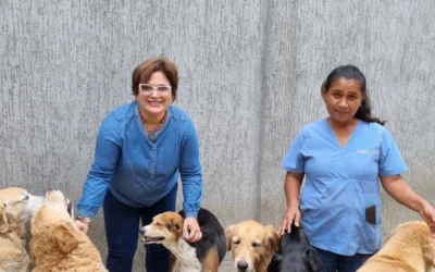 Noticias de Aquí – Perros rescatados son atendidos y consentidos en las instalaciones de Aerocentro Parque Industrial