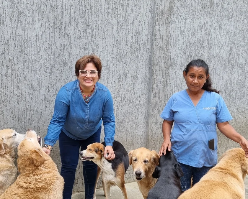 Noticias de Aquí – Perros rescatados son atendidos y consentidos en las instalaciones de Aerocentro Parque Industrial